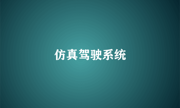 仿真驾驶系统