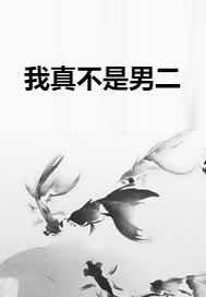 我真不是男二