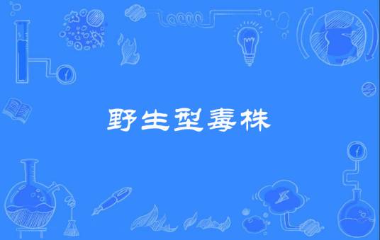 野生型毒株
