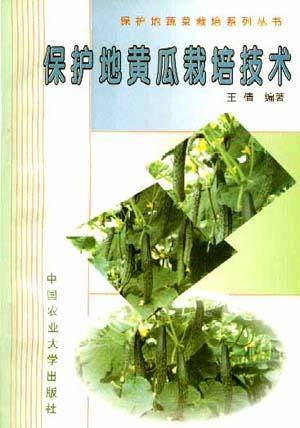 保护地黄瓜栽培技术