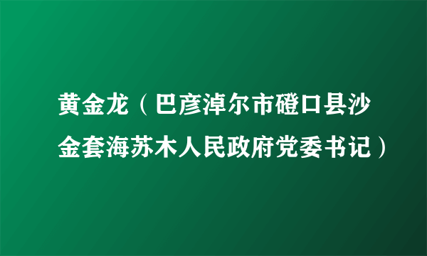 黄金龙（巴彦淖尔市磴口县沙金套海苏木人民政府党委书记）