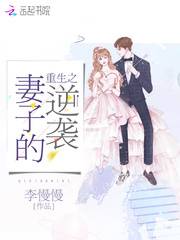重生之妻子的逆袭