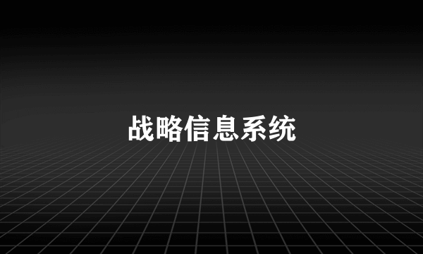 战略信息系统