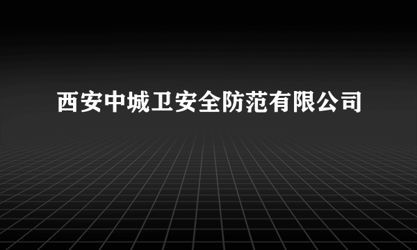 西安中城卫安全防范有限公司