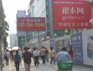 根本网