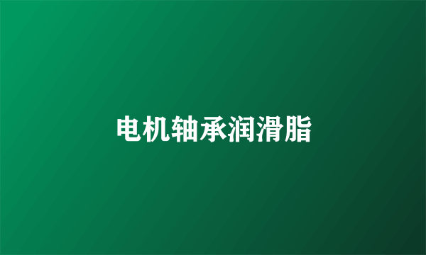 电机轴承润滑脂