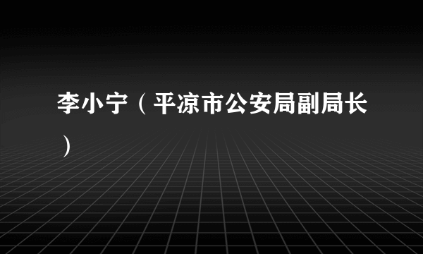 李小宁（平凉市公安局副局长）