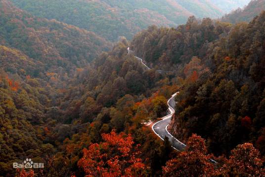 河南甘山国家森林公园
