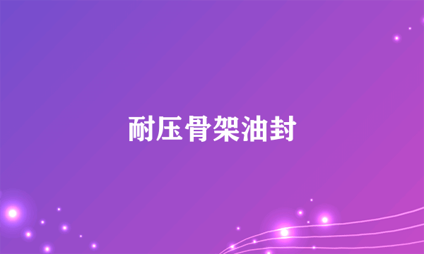 耐压骨架油封