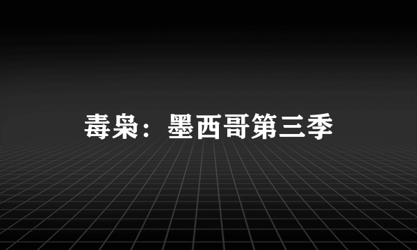 毒枭：墨西哥第三季