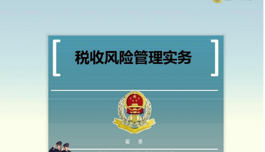 税务风险（经济学领域术语）
