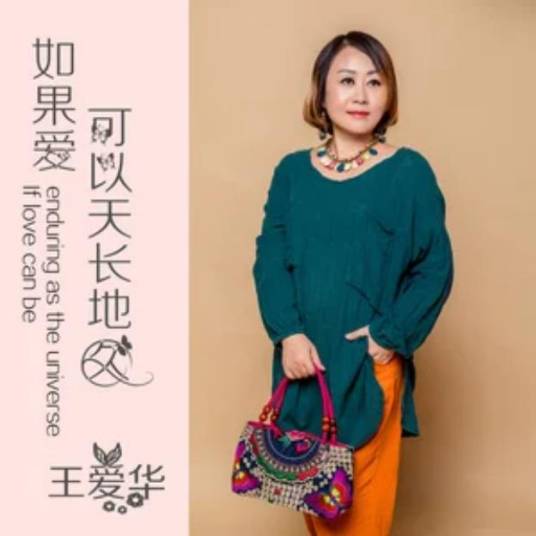 一路走来（王爱华演唱单曲）