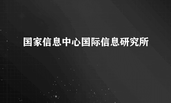 国家信息中心国际信息研究所