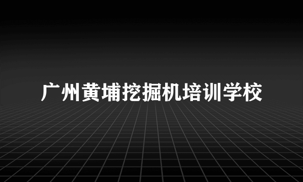 广州黄埔挖掘机培训学校