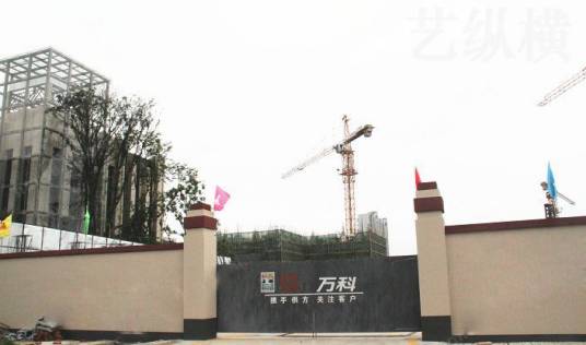 成都万科金色城品项目
