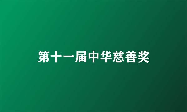 第十一届中华慈善奖