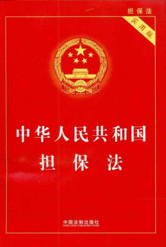 担保公司