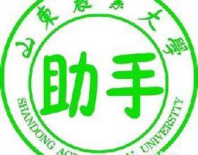 山农大助手