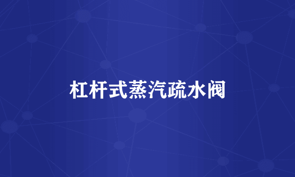 杠杆式蒸汽疏水阀