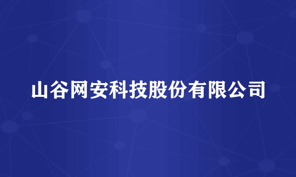 山谷网安科技股份有限公司