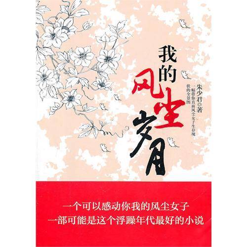 我的风尘岁月