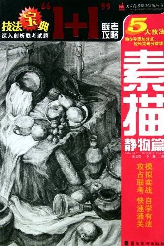 素描静物篇（2010年岭南美术出版社出版的图书）