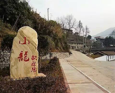 小龙镇（江西省泰和县下辖镇）