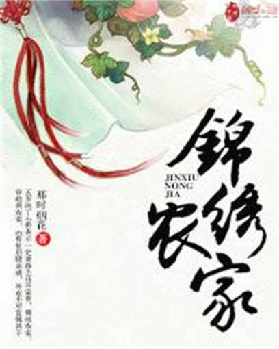 锦绣农家（那时烟花创作的小说）