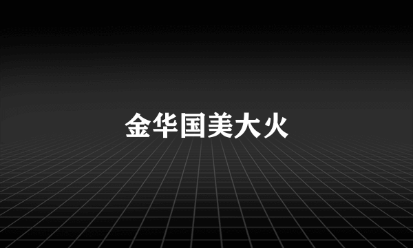 金华国美大火