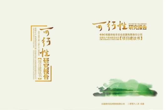可行性研究报告