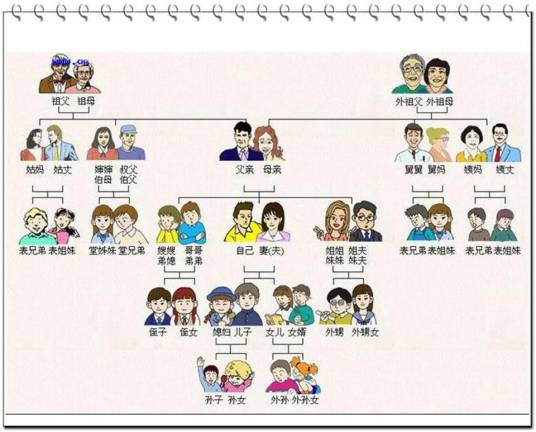 堂兄弟姐妹