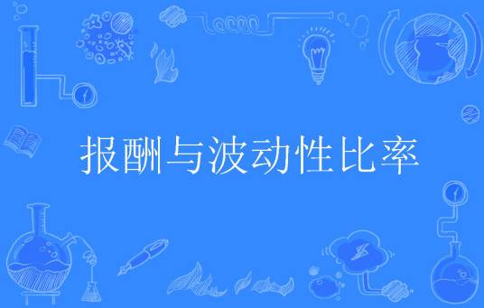 报酬与波动性比率