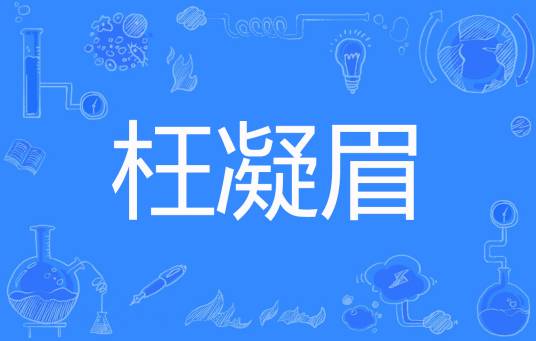 枉凝眉（边签颖君著网络小说）