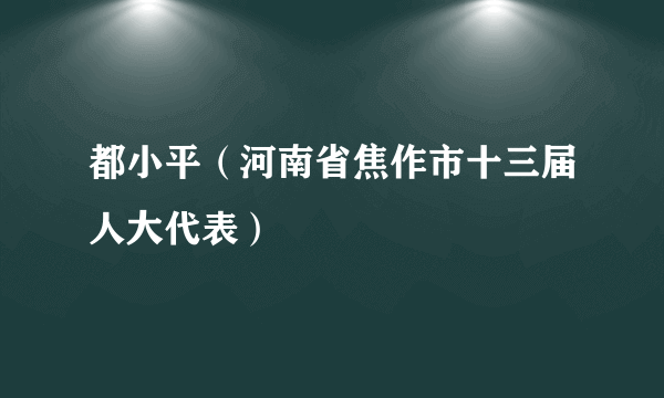 都小平（河南省焦作市十三届人大代表）