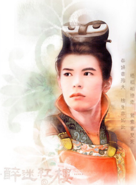 醉迷红楼