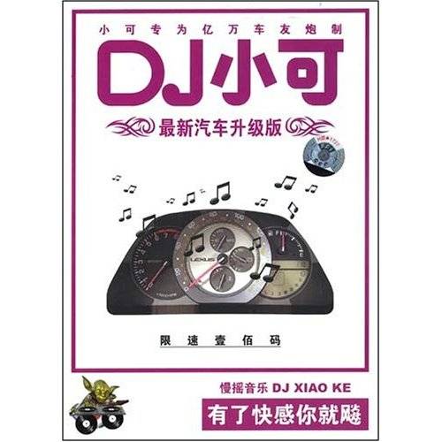 寂寞沙洲冷（2007年DJ小可演唱歌曲）