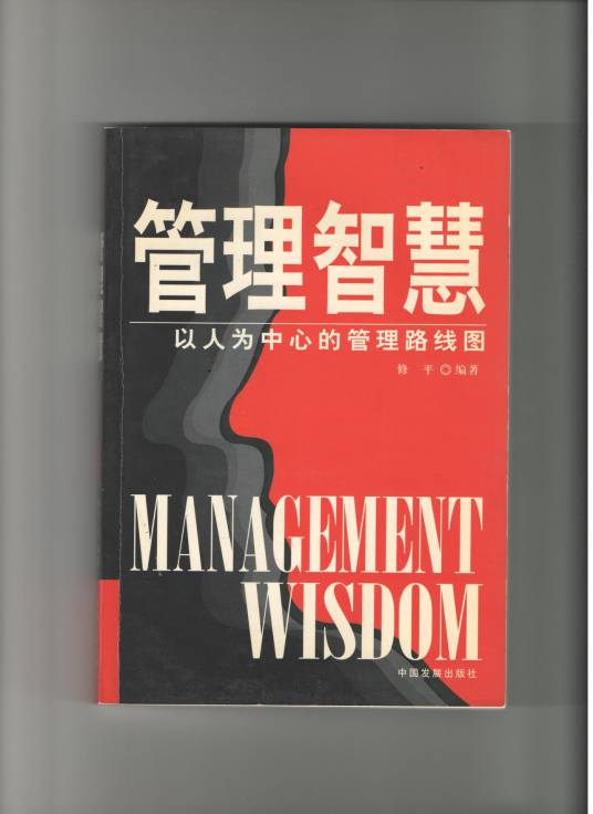 管理智慧（2005年中国发展出版社出版的图书）
