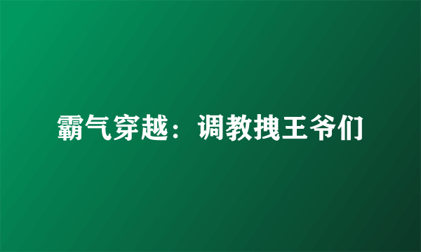 霸气穿越：调教拽王爷们