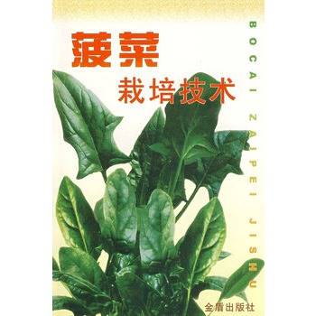 菠菜栽培技术