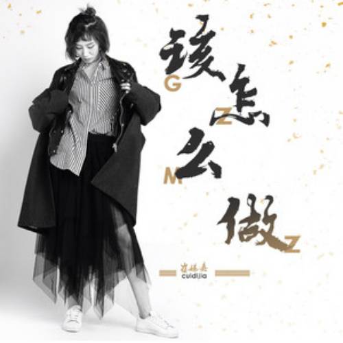 该怎么做（崔娣嘉演唱歌曲）
