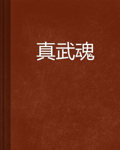 真武魂（网络武侠小说）