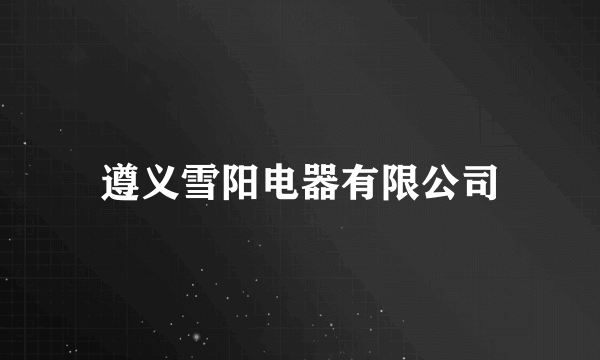 遵义雪阳电器有限公司