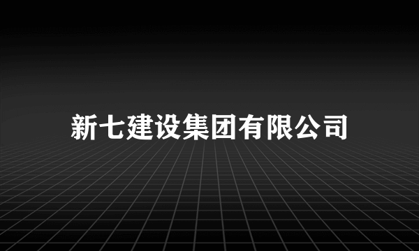 新七建设集团有限公司