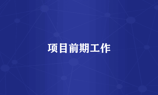 项目前期工作