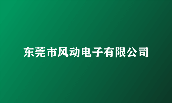 东莞市风动电子有限公司