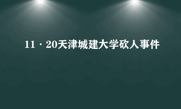 11·20天津城建大学砍人事件