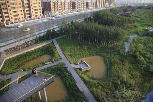 哈尔滨市群力新区城市湿地公园