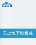 天上地下唯我独尊