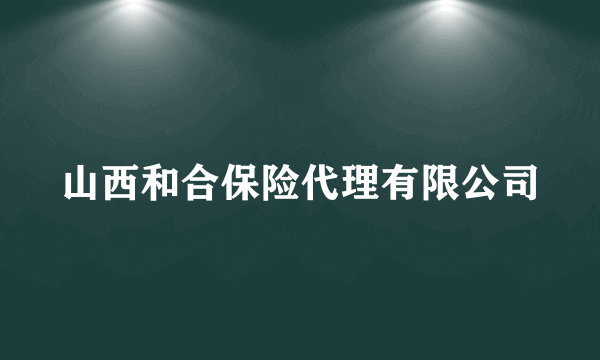 山西和合保险代理有限公司