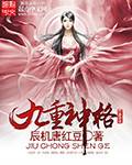 九重神格（辰机唐红豆的网络小说）